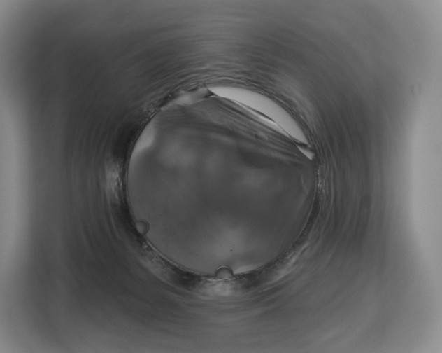 X0000113050127200909171549