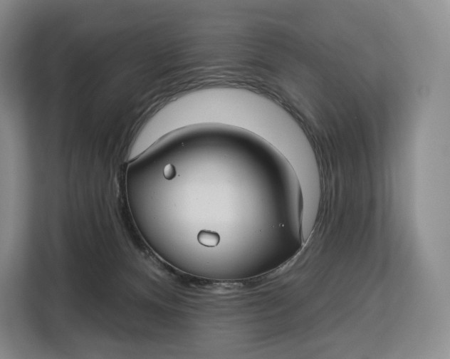 X0000113050128200909171549