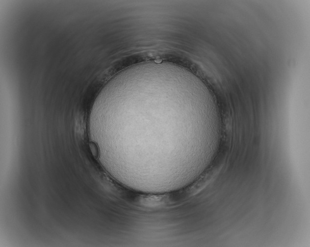 X0000113050129200909171549