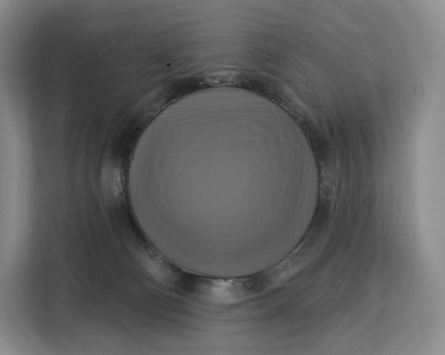 X0000113050130200909171549