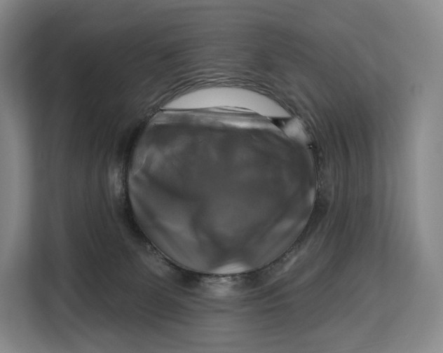 X0000113050131200909171549