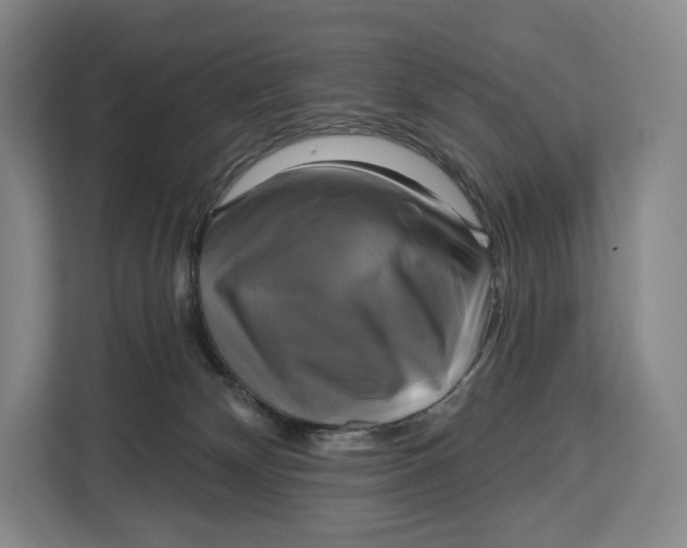 X0000113050132200909171548