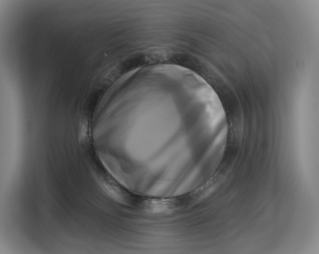 X0000113050134200909171548