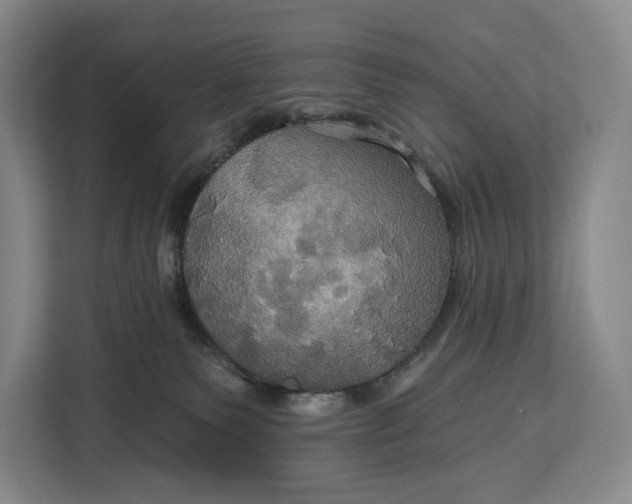 X0000113050135200909171548