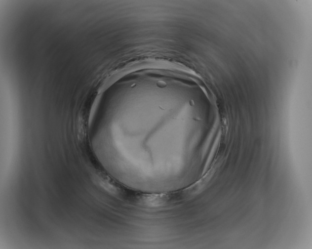 X0000113050136200909171548