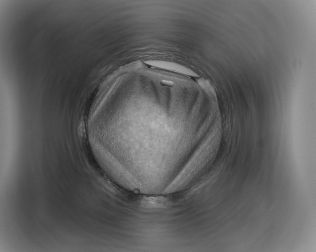X0000113050137200909171548