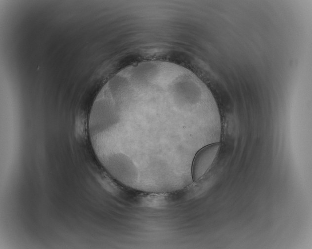 X0000113050138200909171548