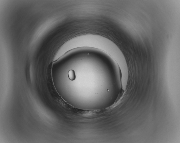 X0000113050140200909171548