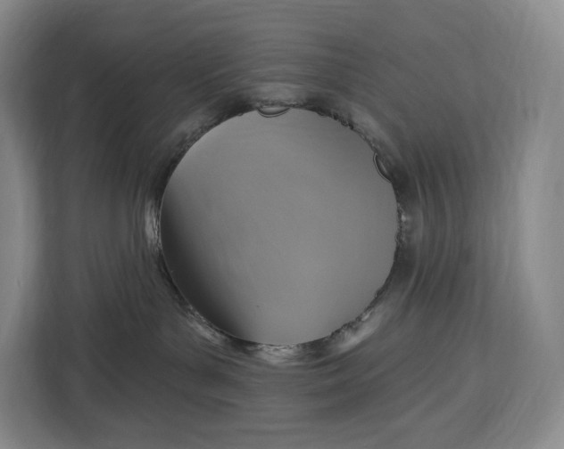 X0000113050143200909171548