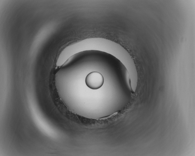 X0000113050144200909171548