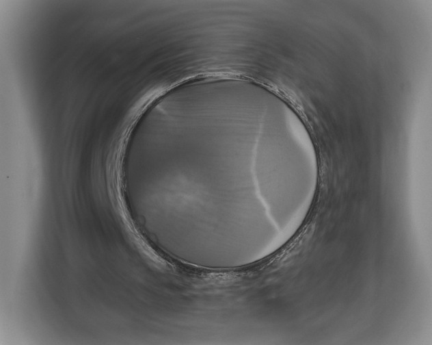 X0000113050145200909171548