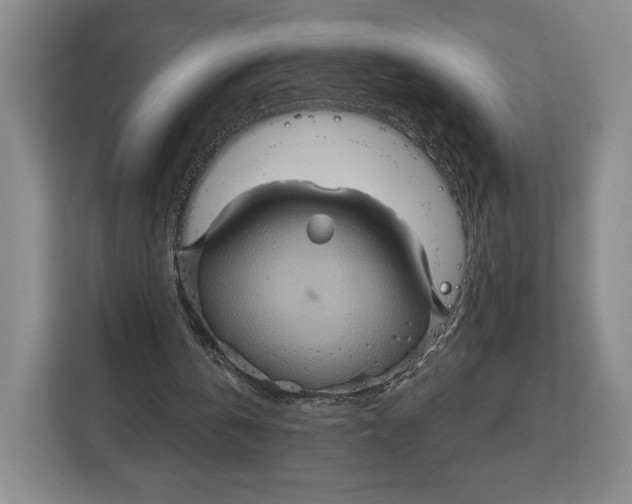 X0000113050146200909171548