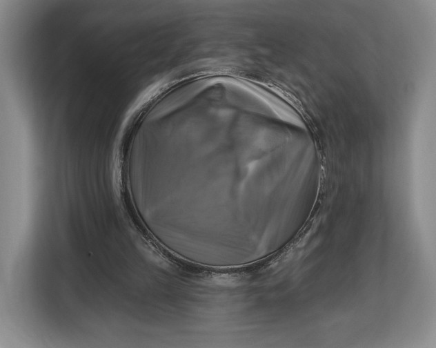 X0000113050149200909171548