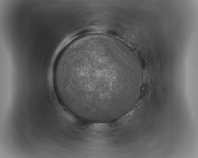 X0000113050150200909171548