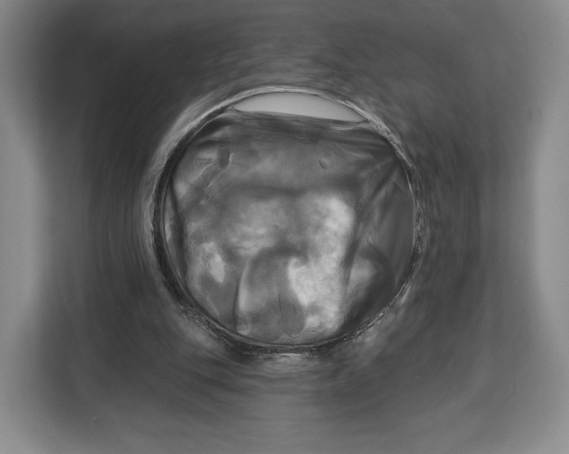 X0000113050151200909171548