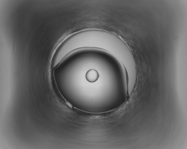 X0000113050152200909171548