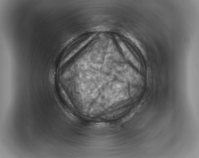 X0000113050153200909171548