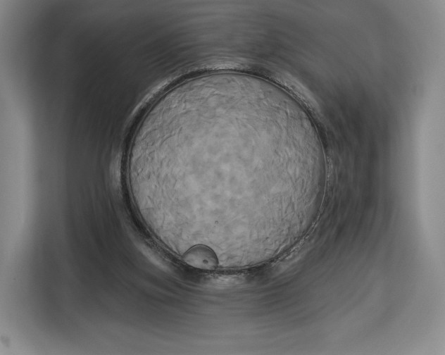 X0000113050155200909171548