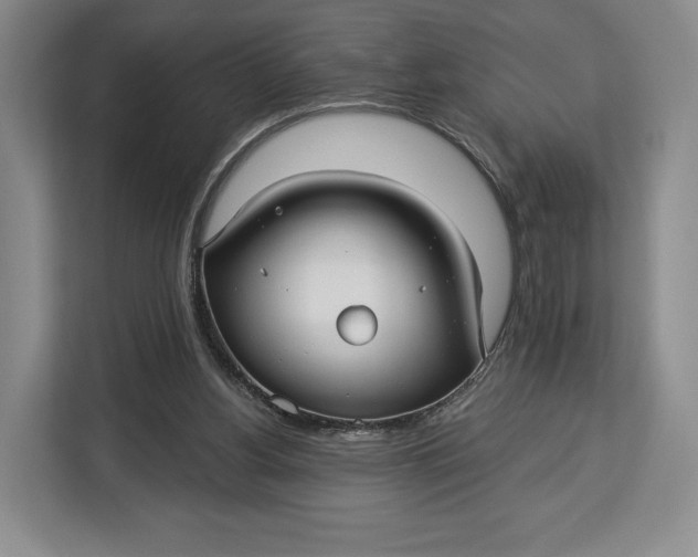 X0000113050156200909171548