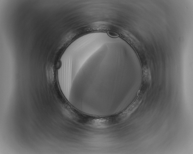 X0000113050158200909171548