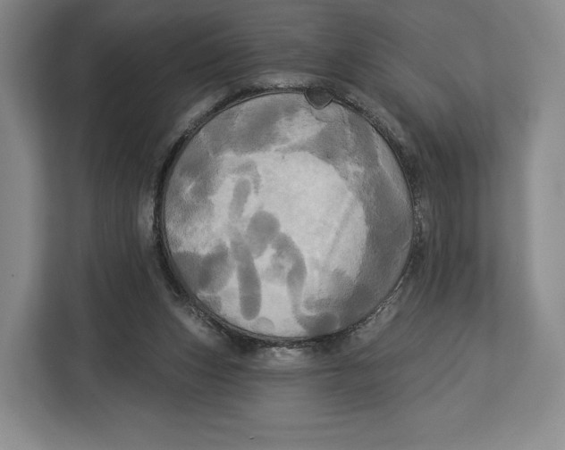 X0000113050159200909171548