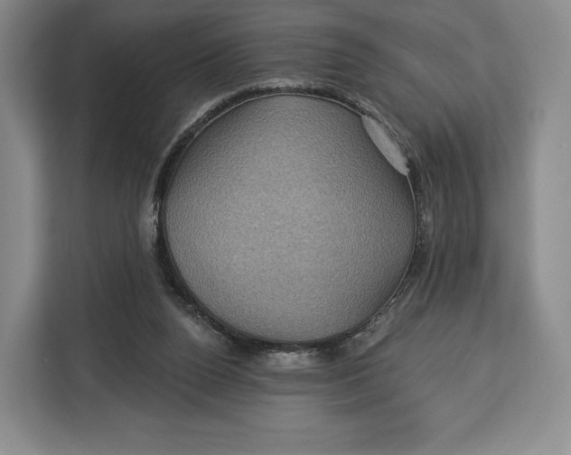 X0000113050160200909171548