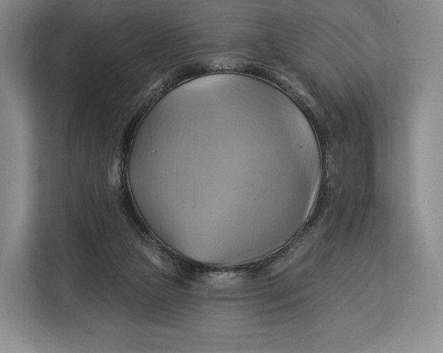 X0000113050161200909171548