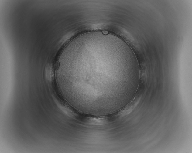 X0000113050164200909171548