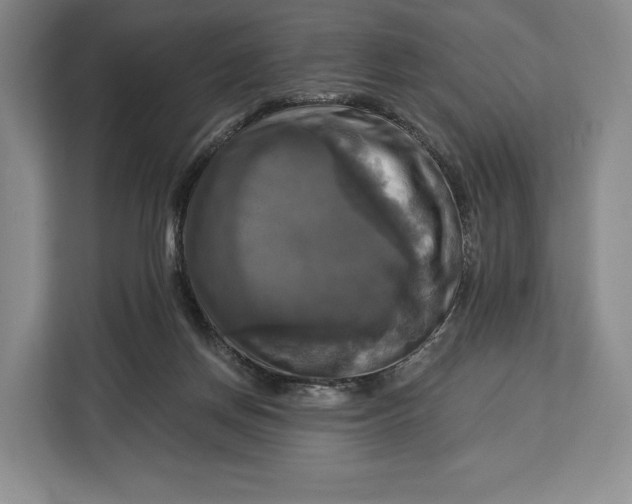 X0000113050166200909171548