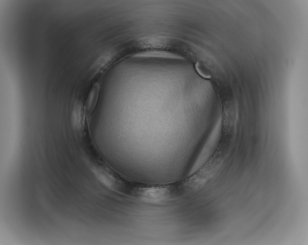 X0000113050168200909171548