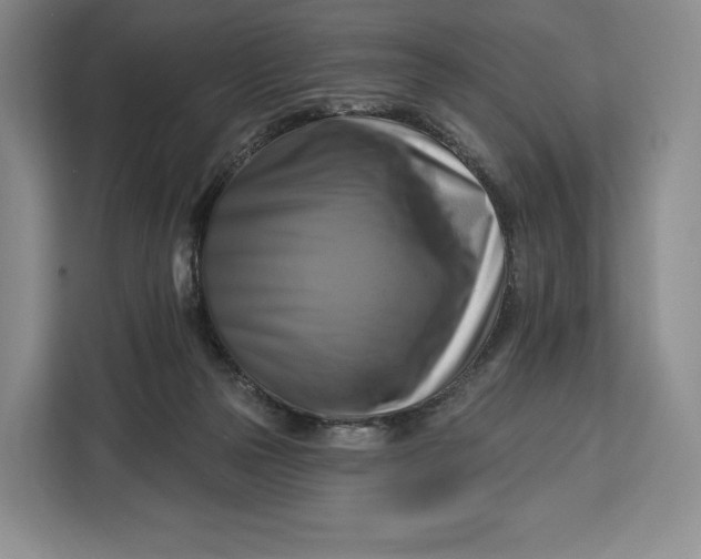 X0000113050169200909171548