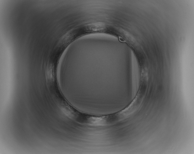 X0000113050170200909171548