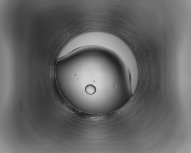 X0000113050172200909171548