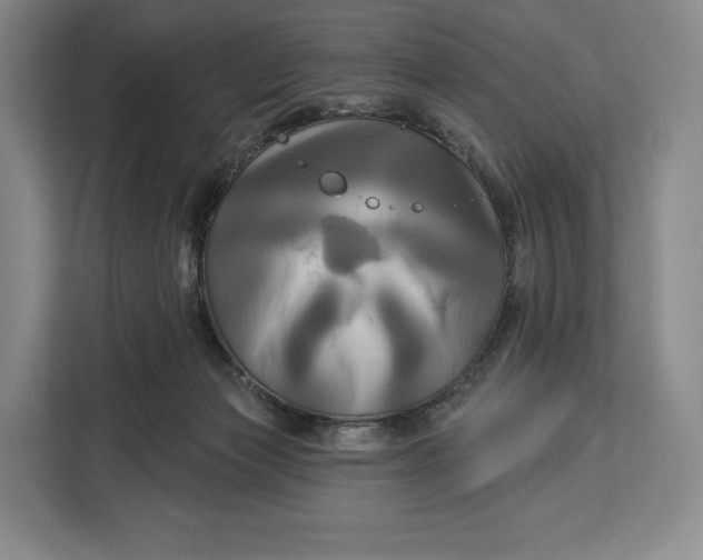 X0000113050173200909171548