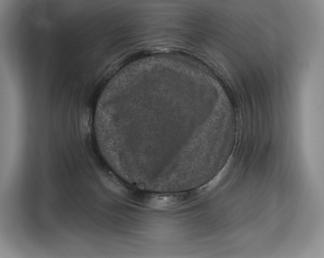 X0000113050174200909171548