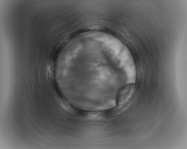 X0000113050175200909171548