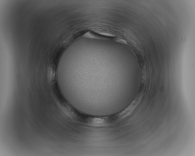 X0000113050176200909171548