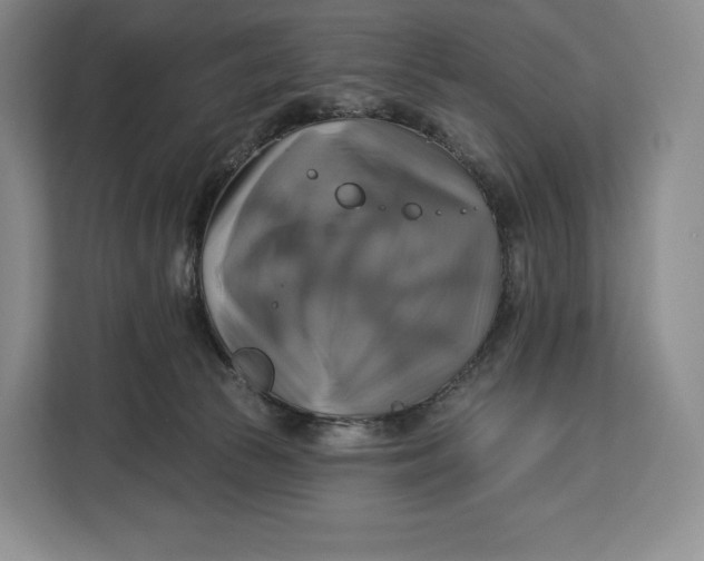 X0000113050177200909171548