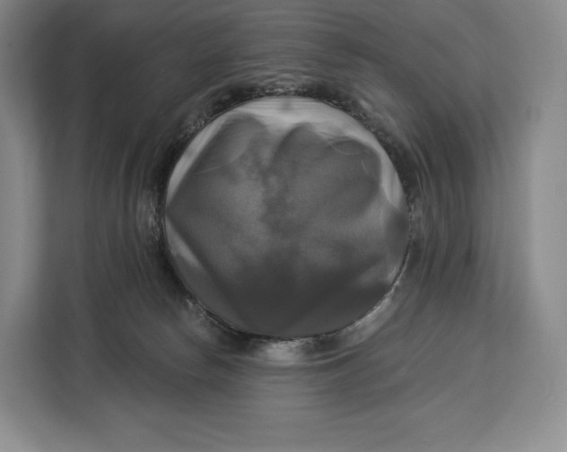 X0000113050178200909171548