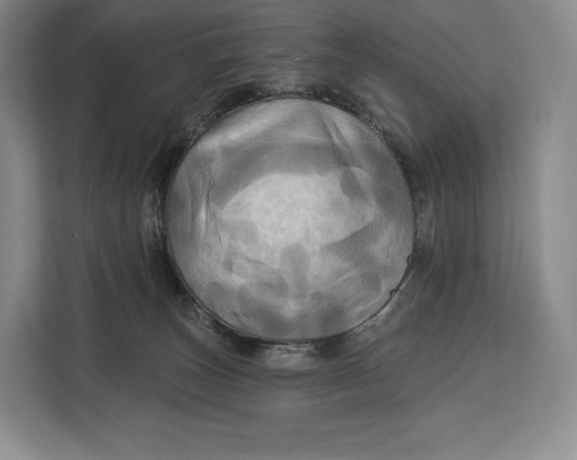 X0000113050179200909171548