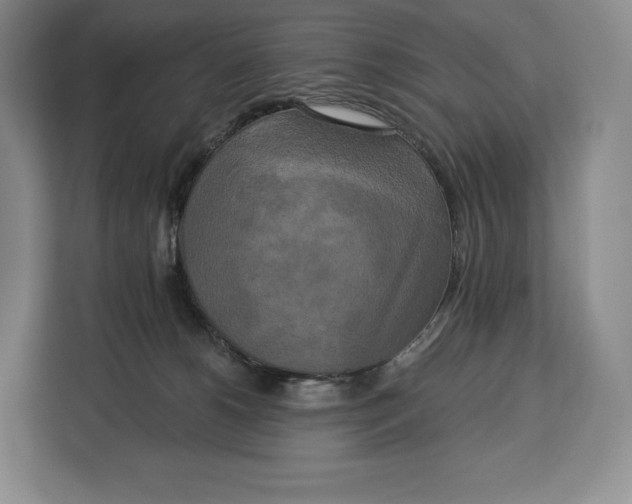 X0000113050180200909171548