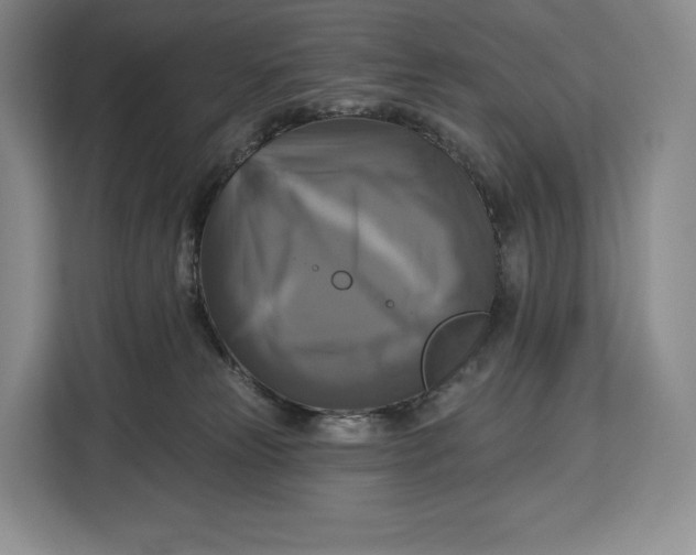 X0000113050181200909171548