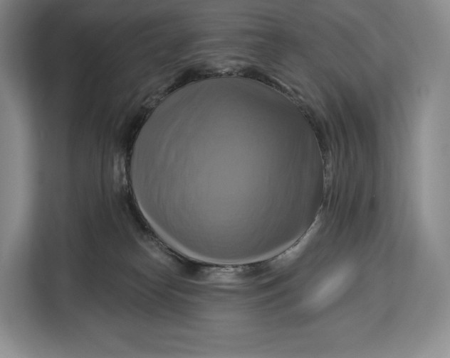 X0000113050182200909171548