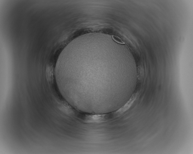 X0000113050184200909171548