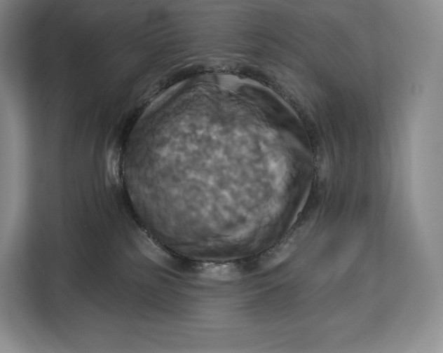 X0000113050185200909171548