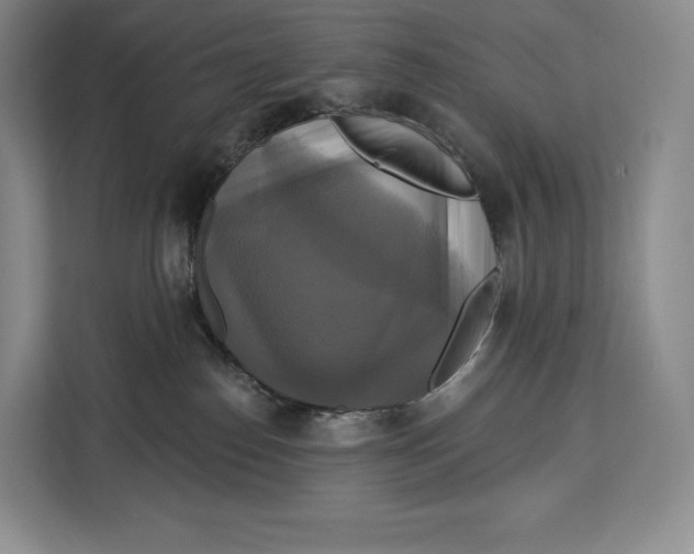 X0000113050186200909171548