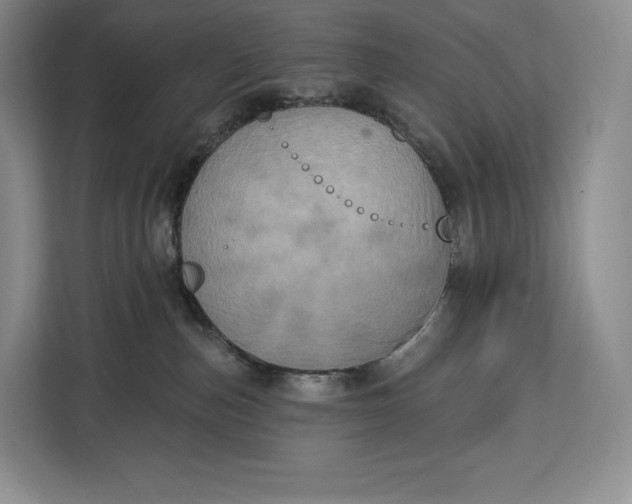 X0000113050187200909171548