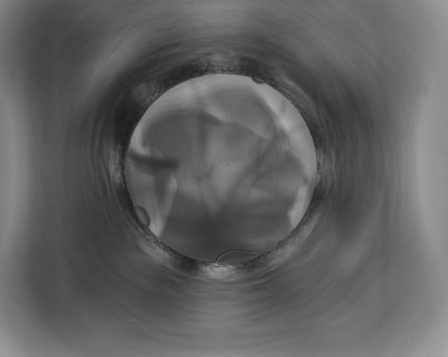 X0000113050189200909171548