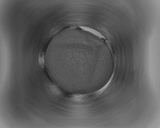 X0000113050190200909171548