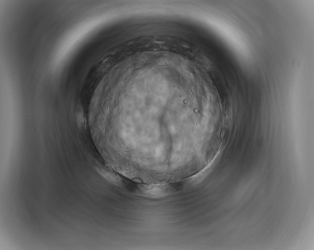 X0000113050191200909171548